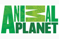 Bill Cole will appear on Animal Planet TV show